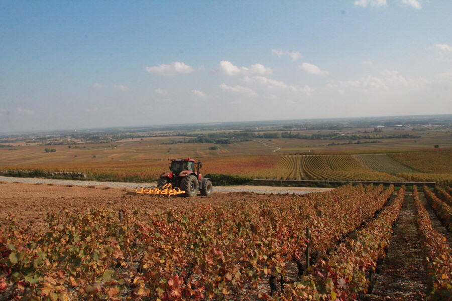 Landwirtschaft in Frankreich Box_08.JPG